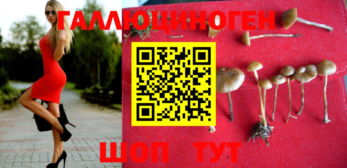 Дедовск  Псилоцибиновые грибы мицелий  как найти закладки  Вход с VPN 